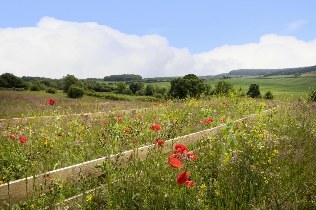 Thirley Cotes Farm Cottages Scarborough Buitenkant foto